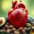 Cholesterol: co powinieneś wiedzieć o jego roli i normach?